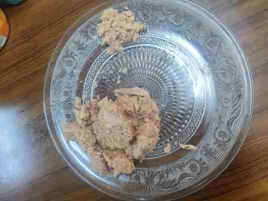 Pedaços de Atum em Água Embalados em Óleo Uma Adição Deliciosa e Nutritiva à Sua Cozinha