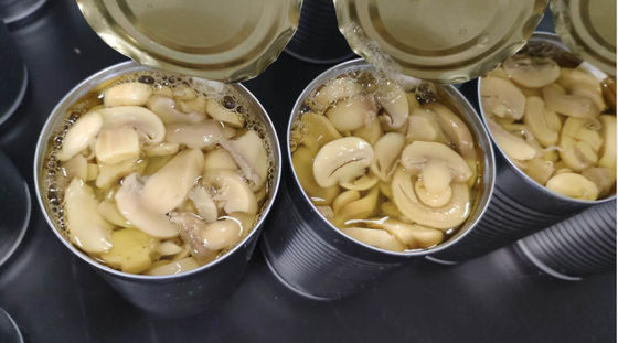 Cogumelo Champignon em Conserva Cogumelo Champignon Apresentando Salinidade de 0,6-1,3 Por Cento Manter em Local Fresco e Seco Perfeito para Processamento de Alimentos