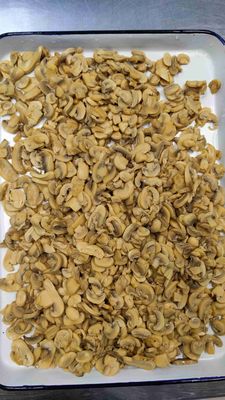 Peças de cogumelos enlatados recém-colhidos com sal natural